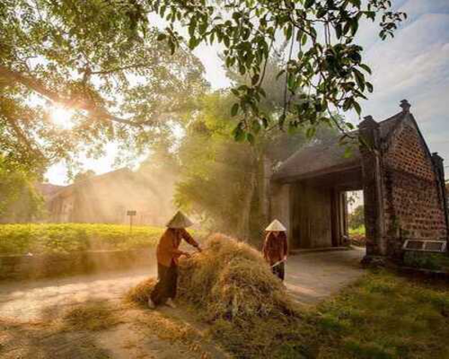 Hanoi: Duong Lam Ancient Village Full-Day Tour